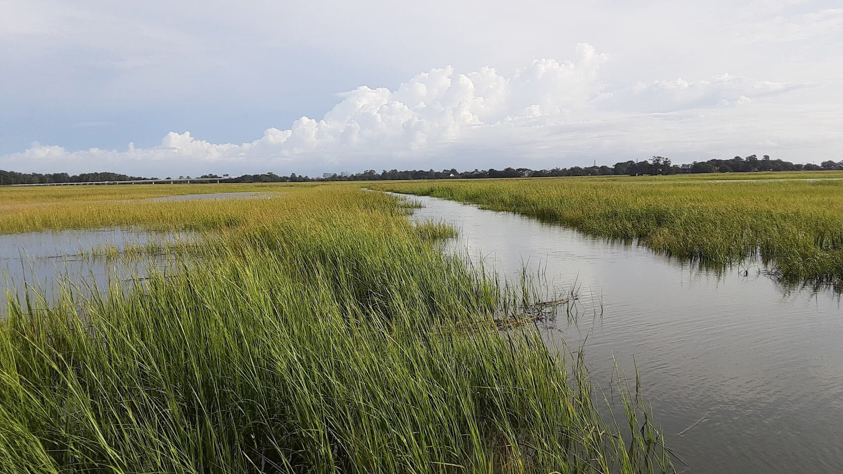 James Island Creek